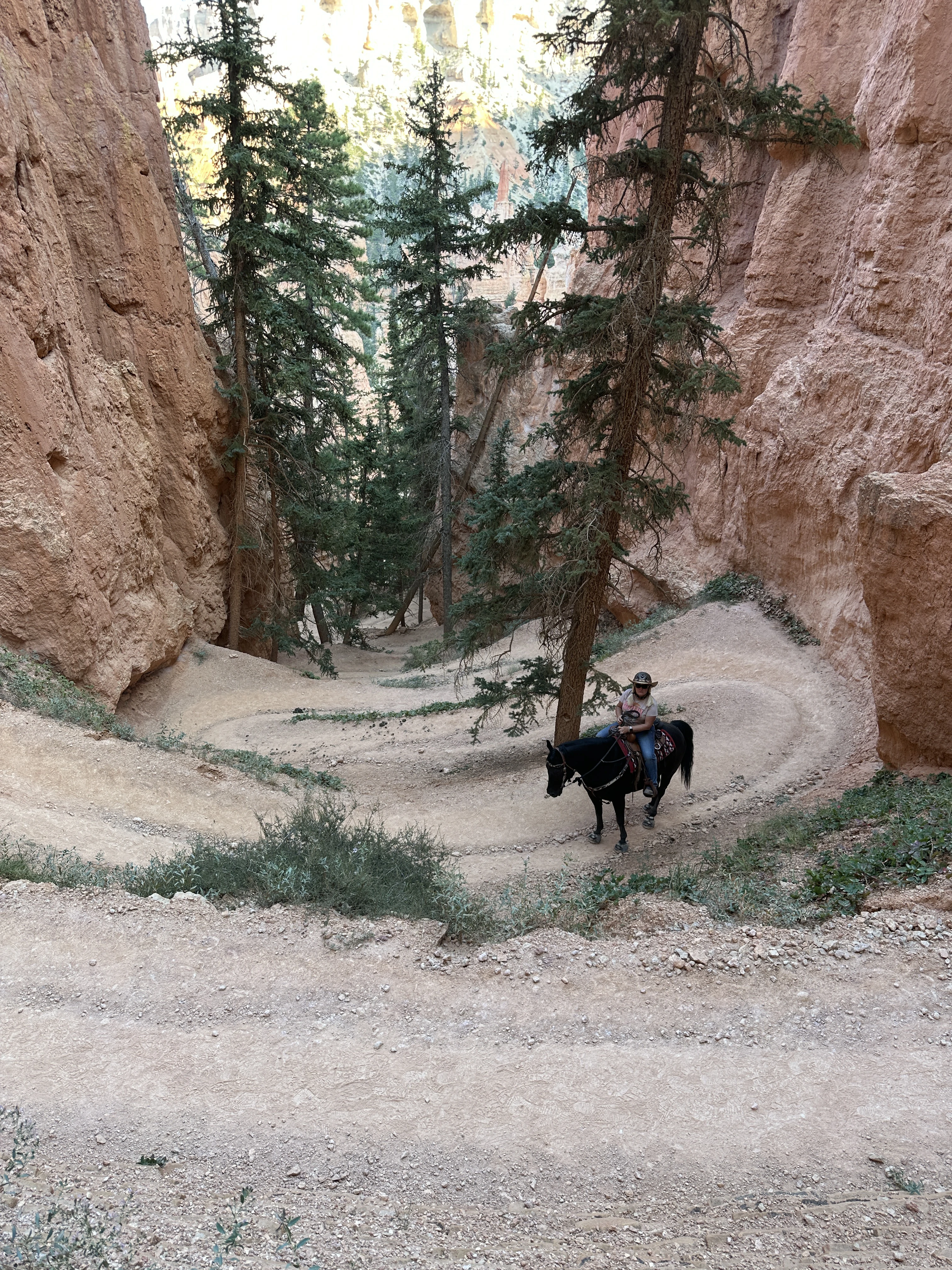 Miller's Knoll cover