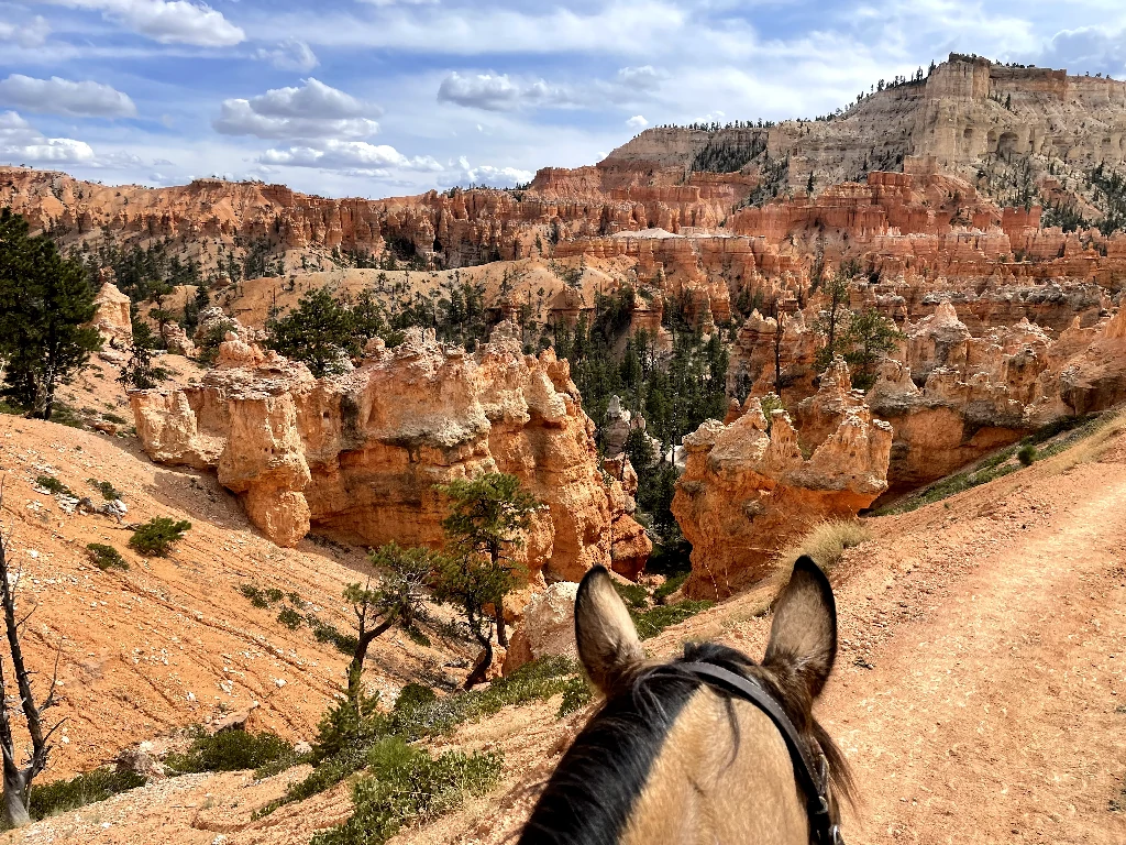 Bryce Valley Ranch RV and Horse Camp horse camping cover photo