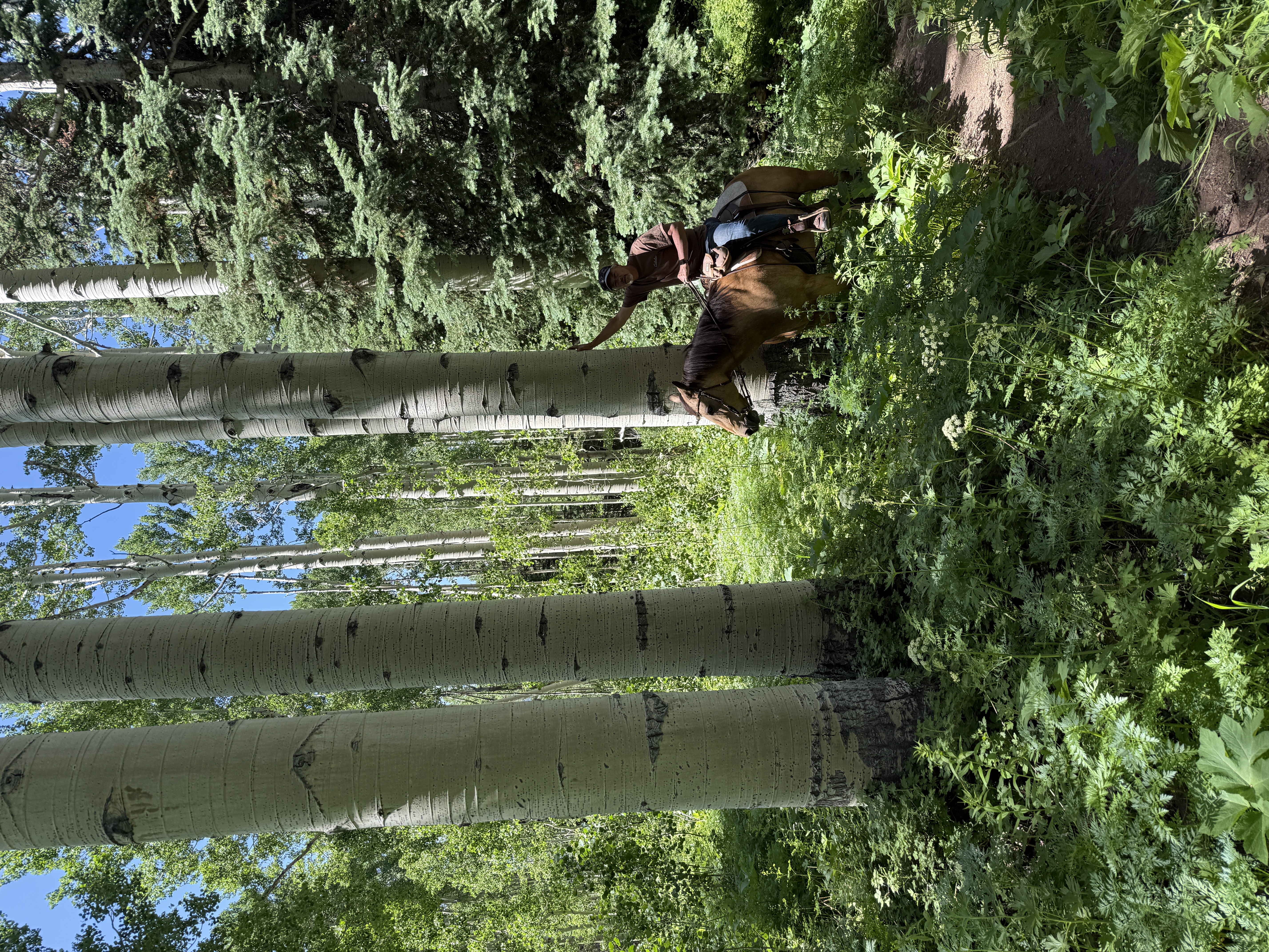 Horse Ranch Park - Crested Butte cover