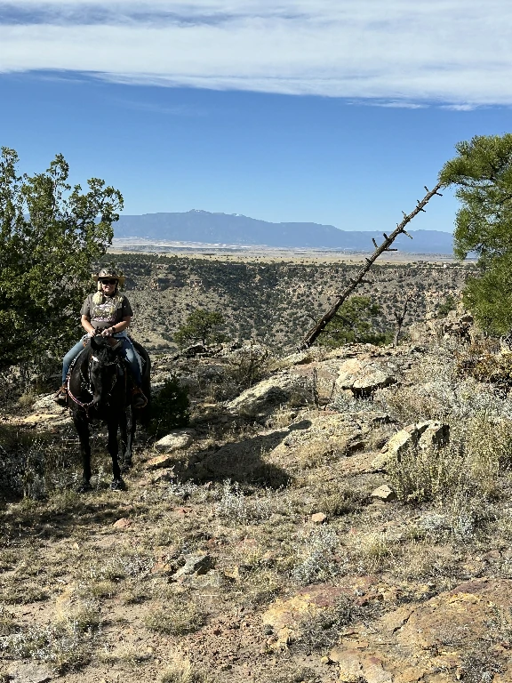 Cuchara Canyon cover