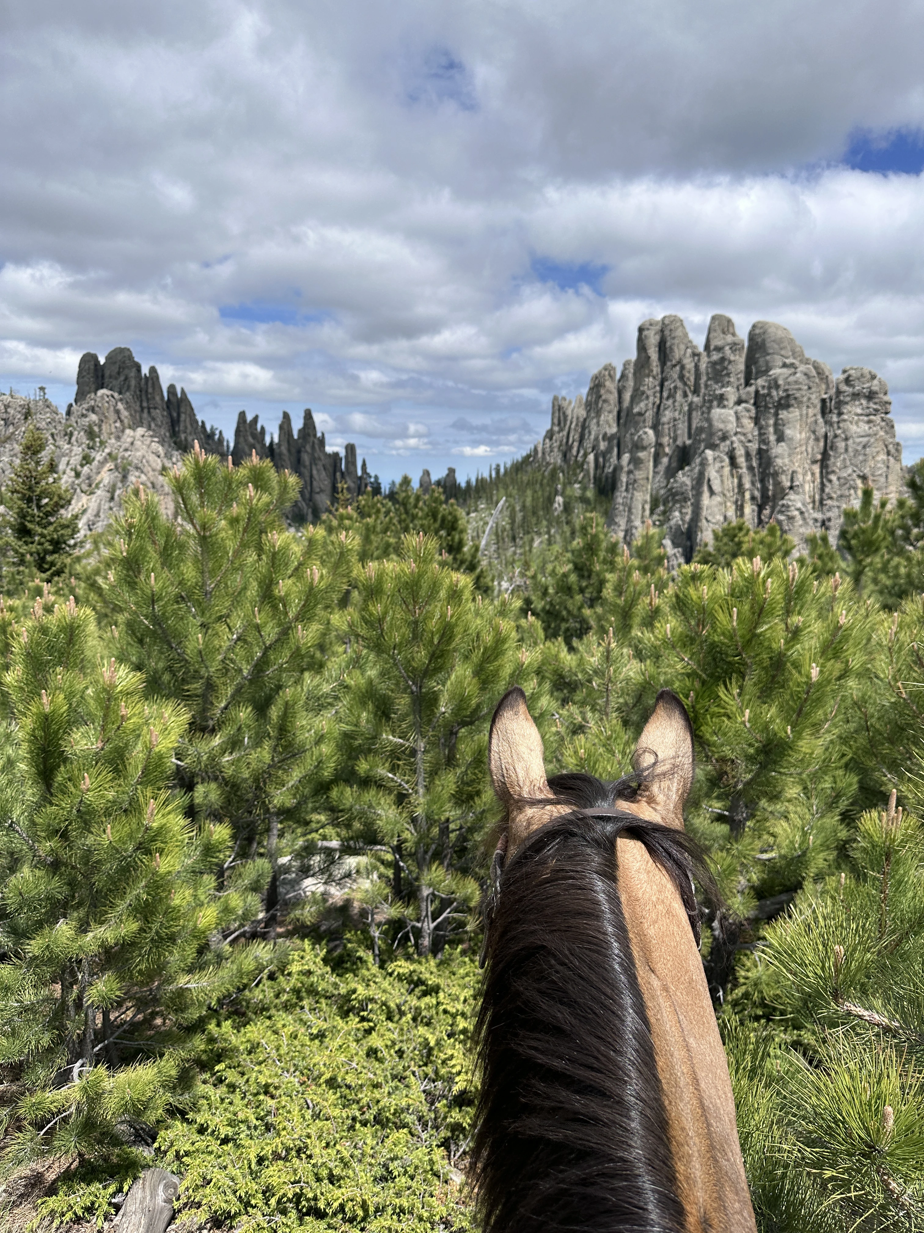 Broken Arrow Horsecamp cover