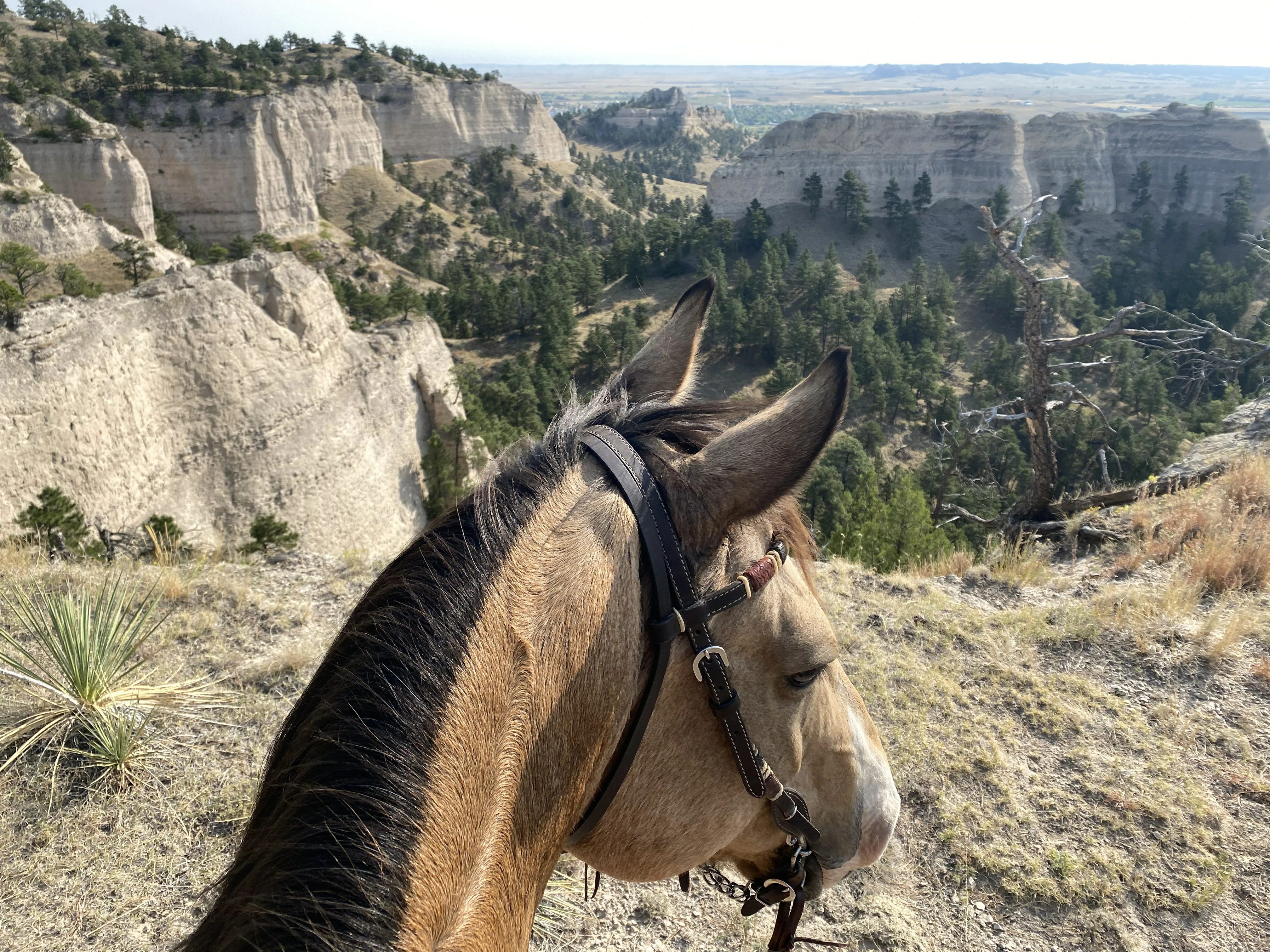 Fort Robinson State Park cover