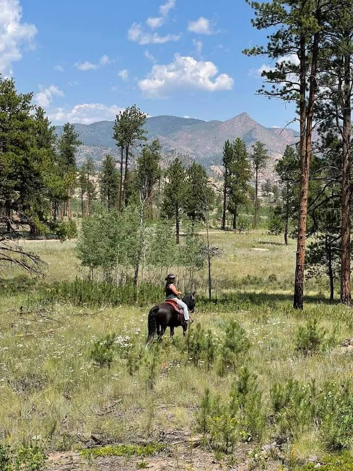M Lazy C Ranch in Lake George, CO horse camping cover photo