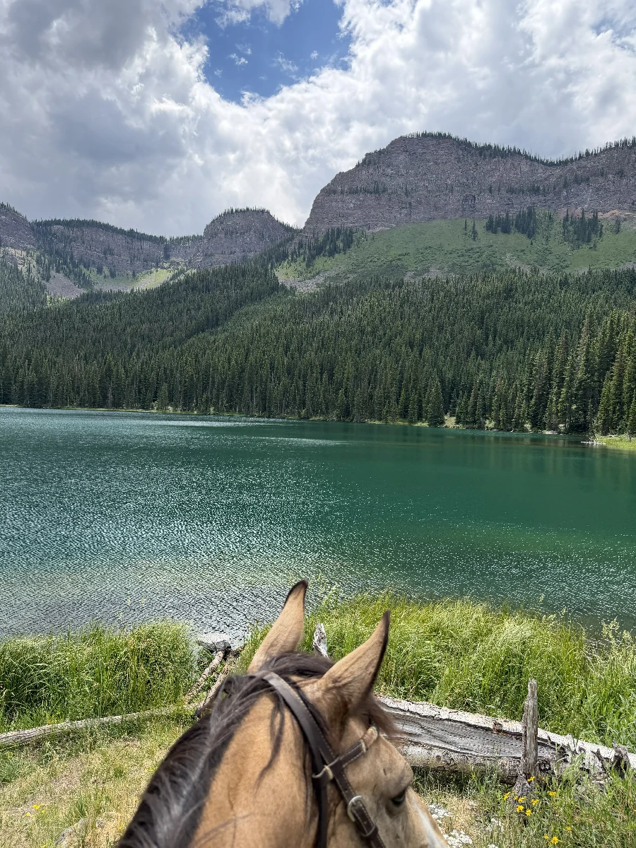 Marvine Campground in Meeker, CO horse camping cover photo
