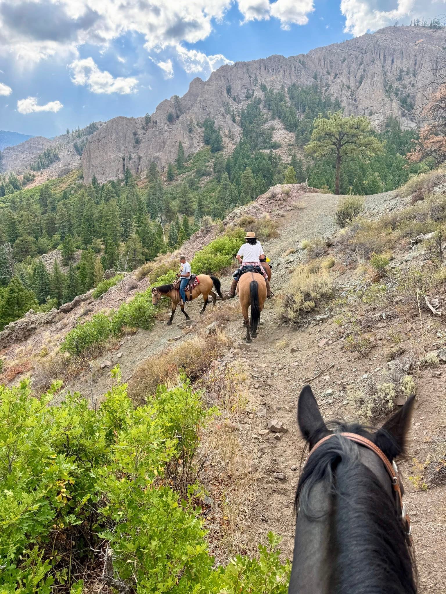 Soap Creek Campground cover