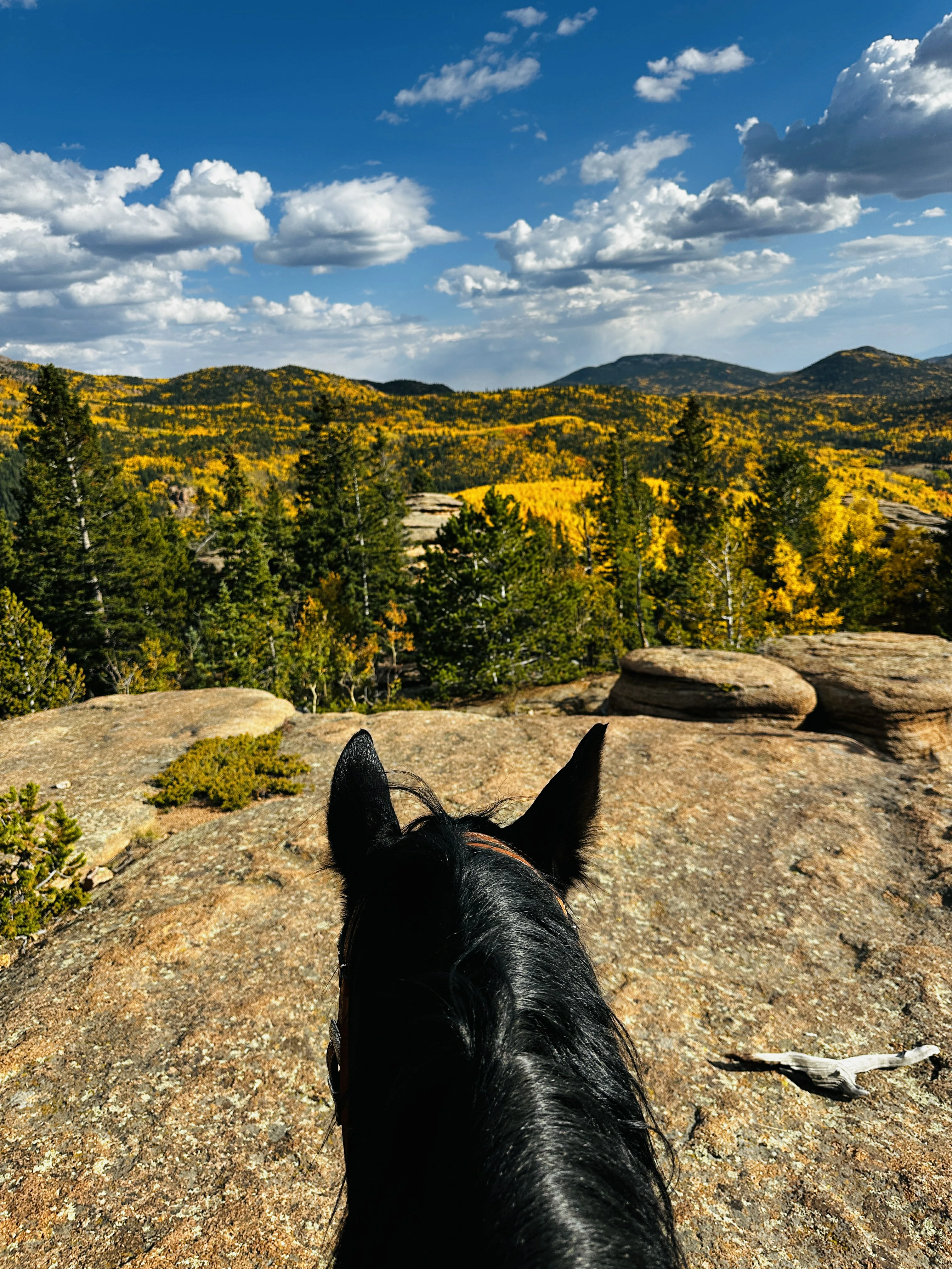 Tarryall - Badger Flats cover