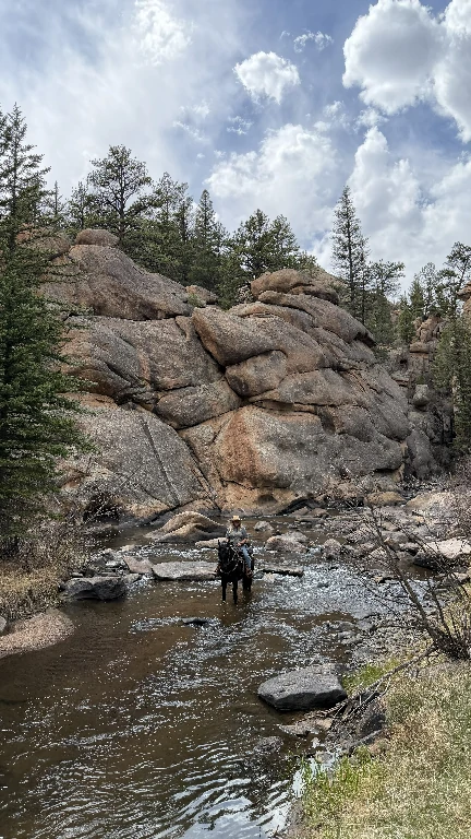 Tarryall - Badger Flats in Lake George, CO horse camping cover photo
